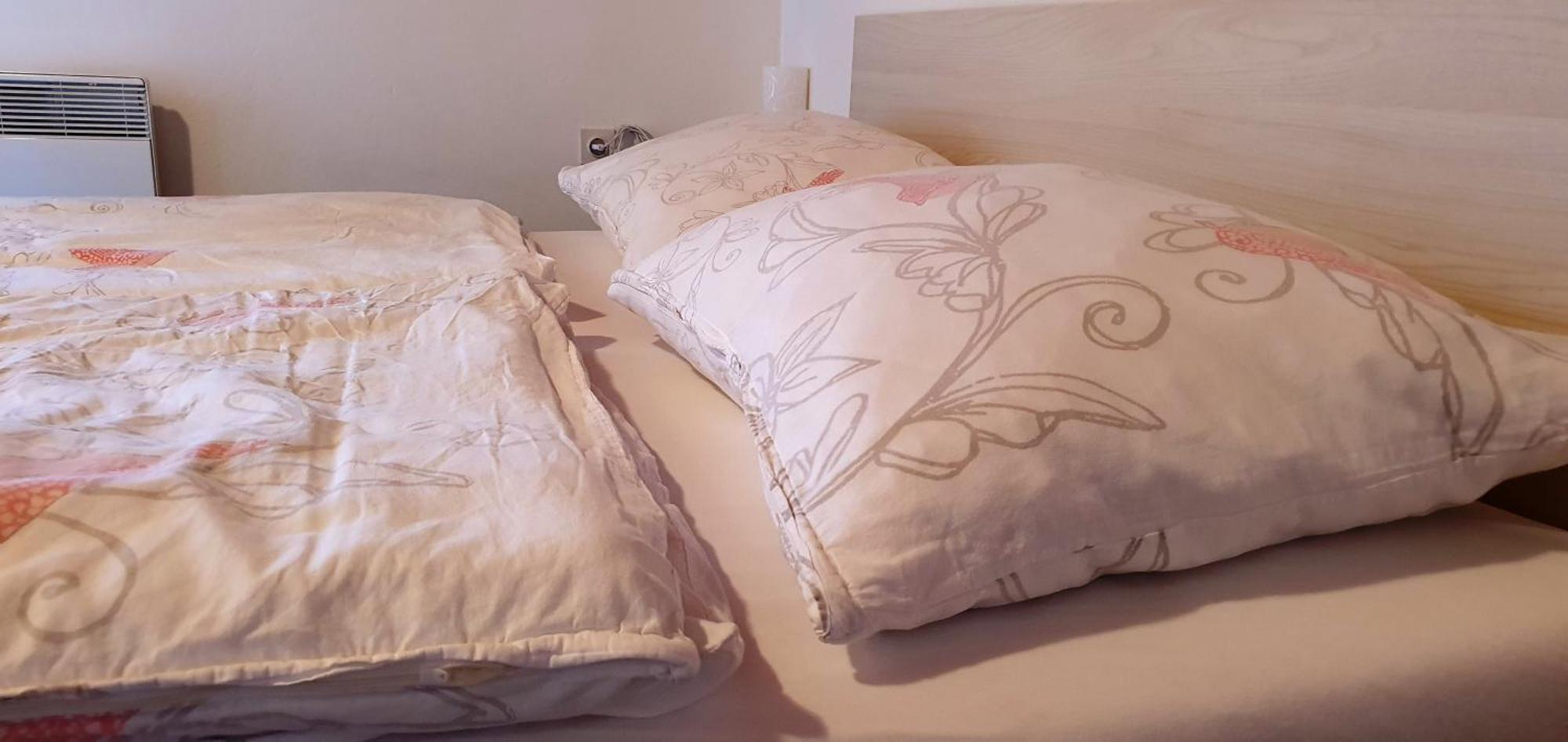 Apartments And Rooms Milena 크라니스카고라 객실 사진